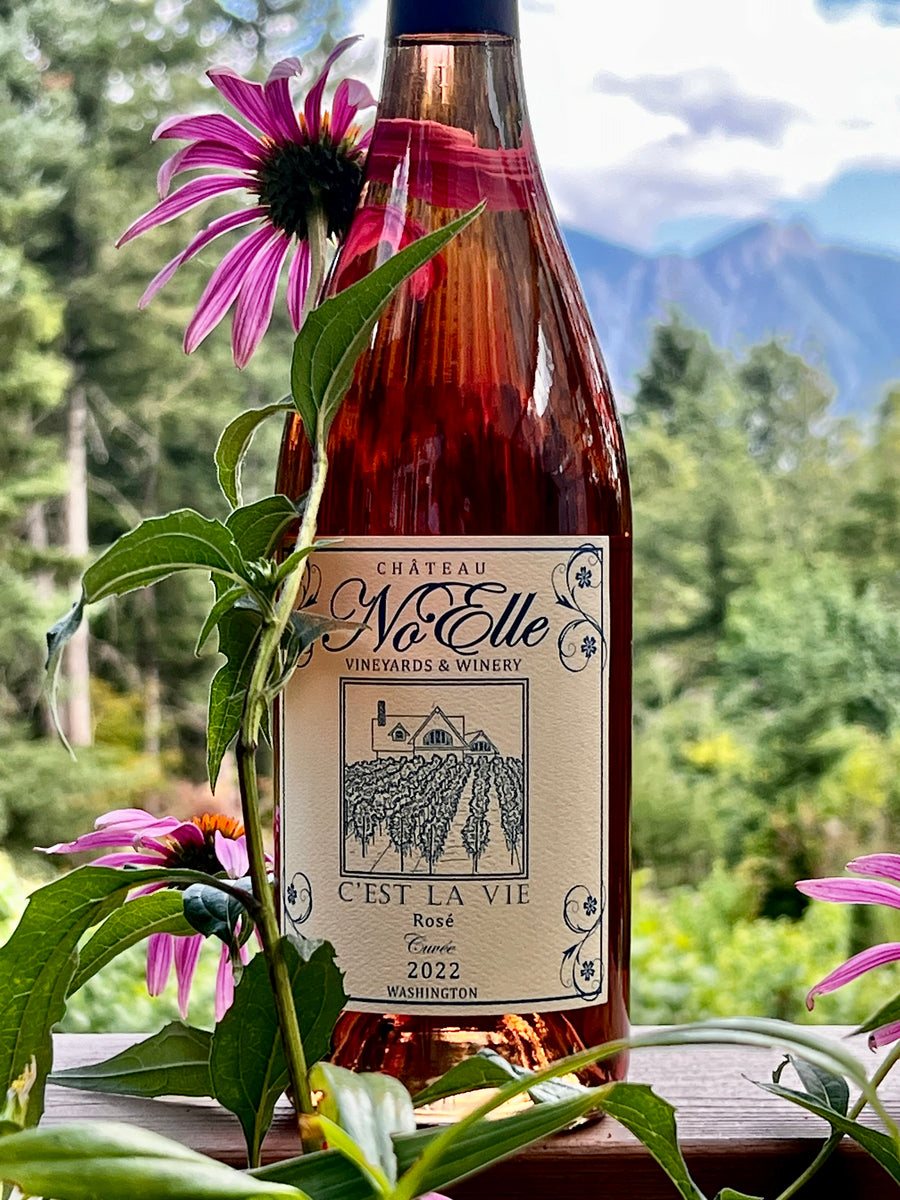 2022 C'est La Vie Rosé - Syrah/Zweigelt/Rondo blend – Château NoElle