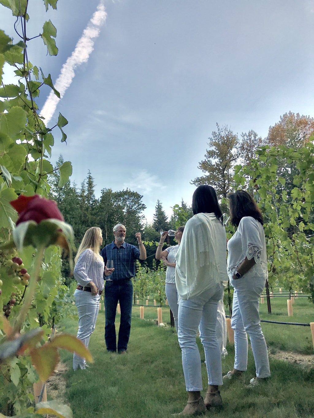 Private Vineyard Tour w/Extended Wine Tasting up to 6 people