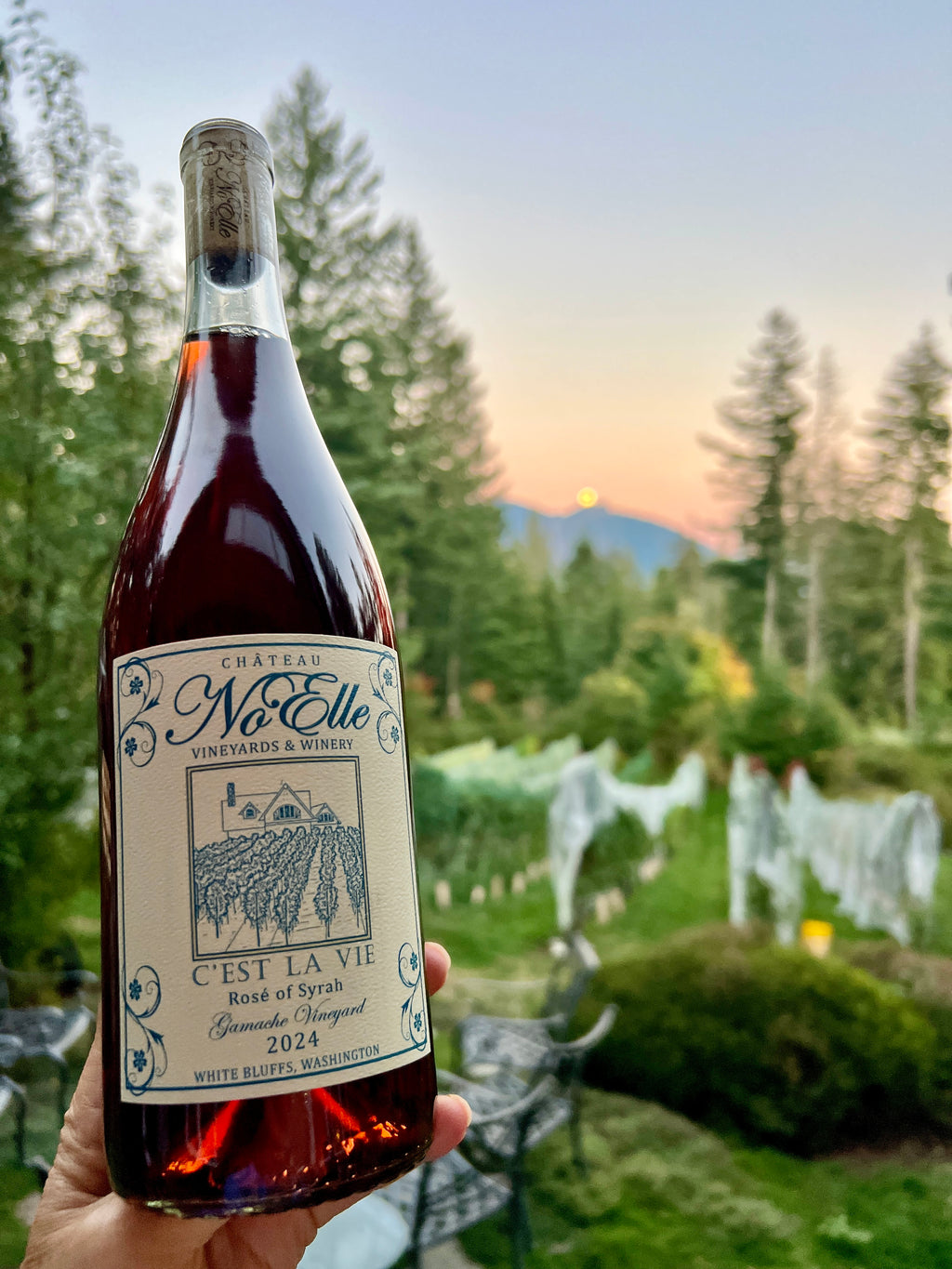2024 C'est La Vie Rosé - Syrah