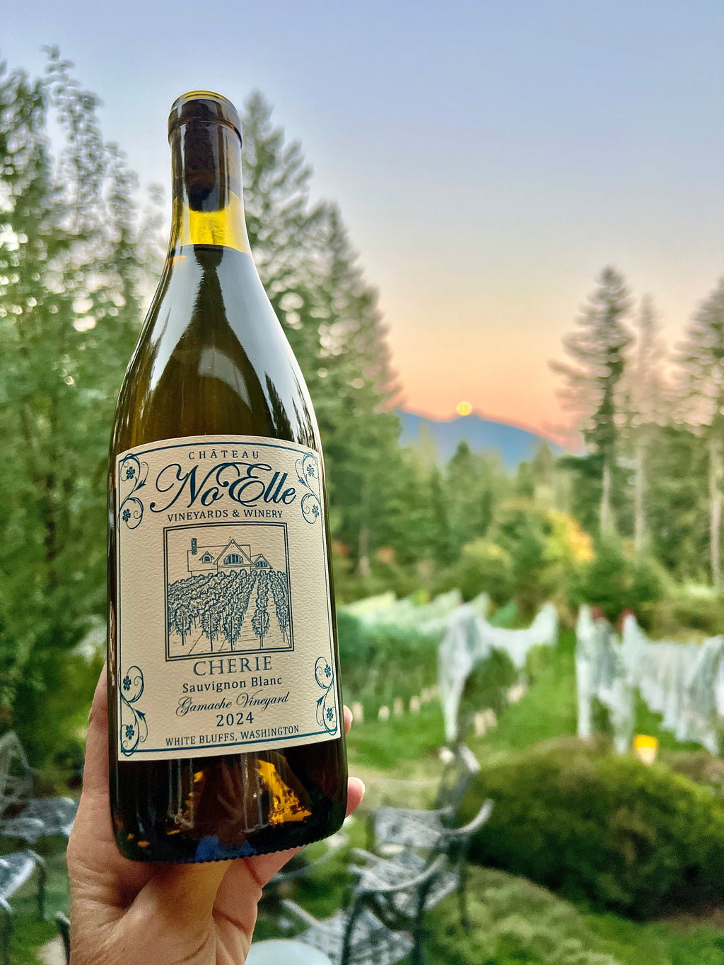 "Cherie" Sauvignon Blanc 2024